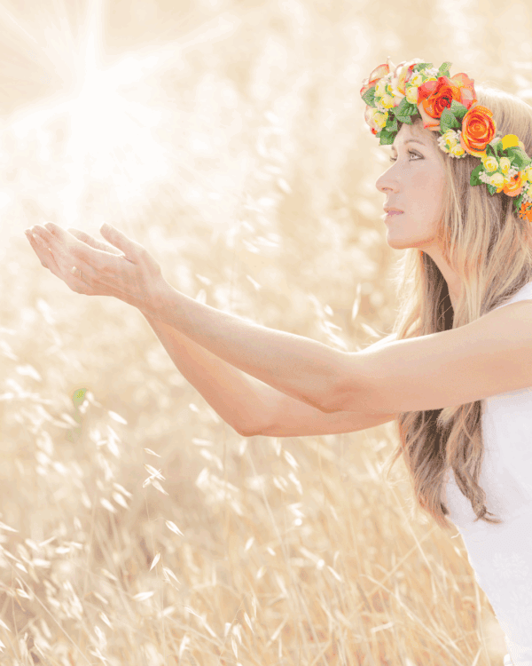 Introduction to Manifesting Diploma